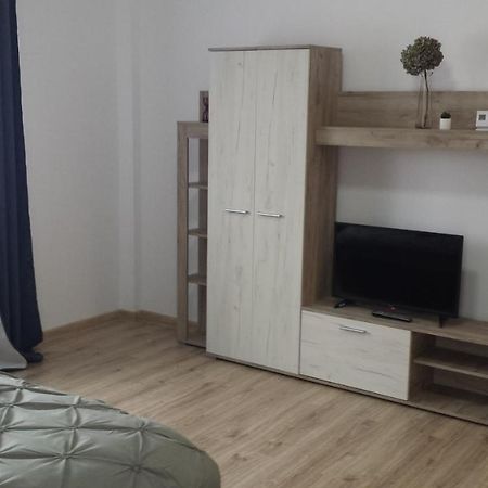 Appartement Apartament Mario à Rădăuţi Extérieur photo