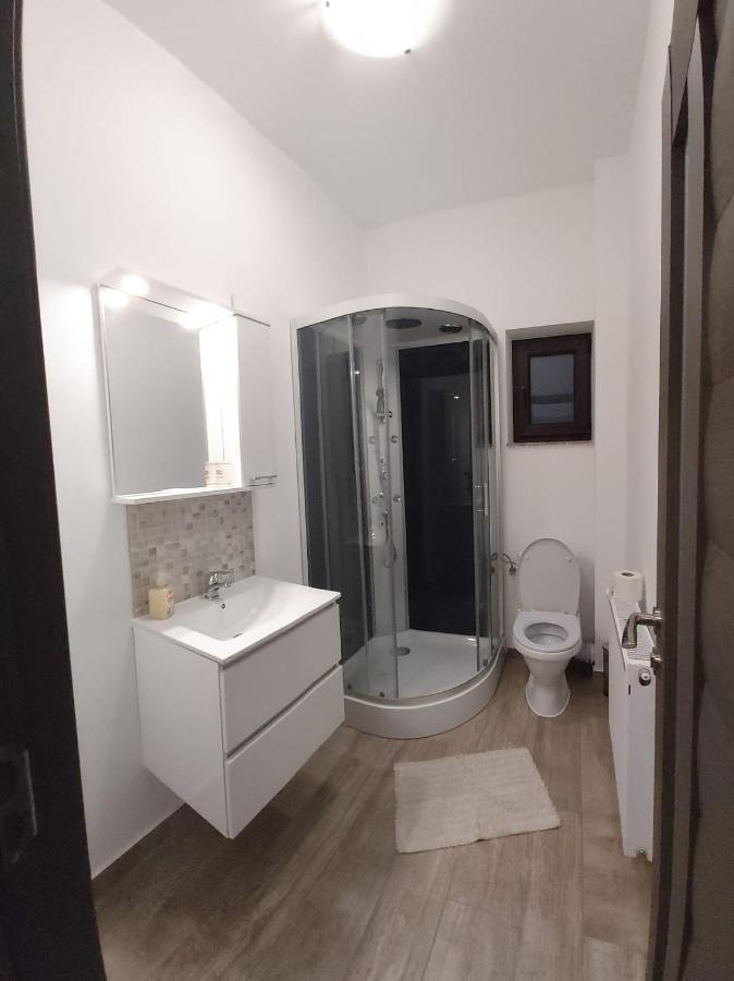 Appartement Apartament Mario à Rădăuţi Extérieur photo